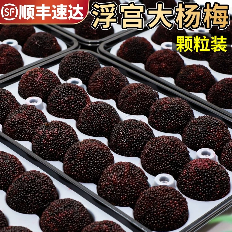 【顺丰空运】正宗浮宫硬丝杨梅孕妇鲜果新鲜水果当季一整箱不是仙居