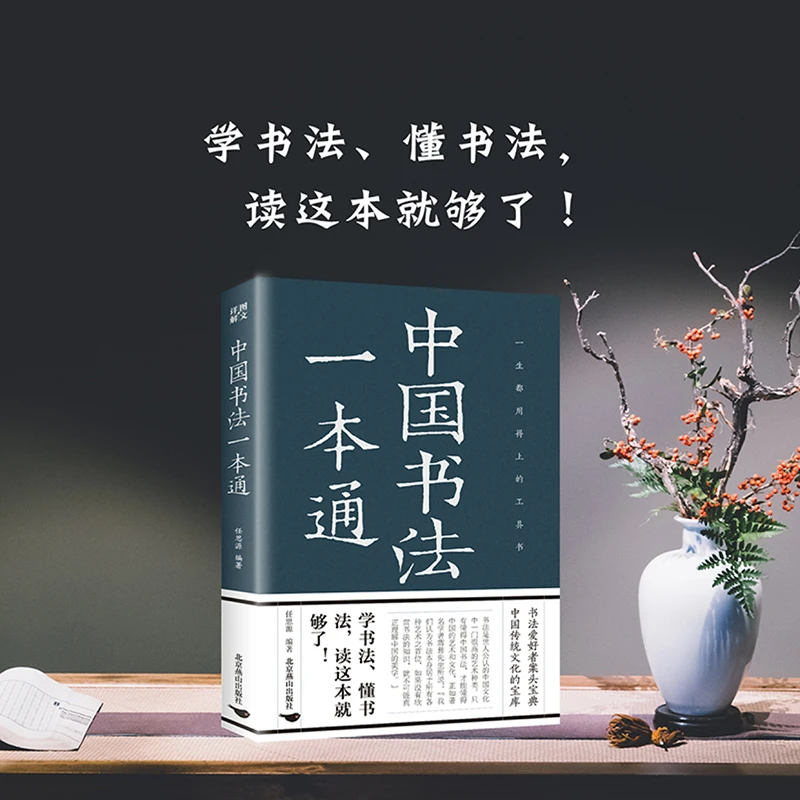 中国书法一本通 中国书法大全入门初学者学习练习毛笔书法教程