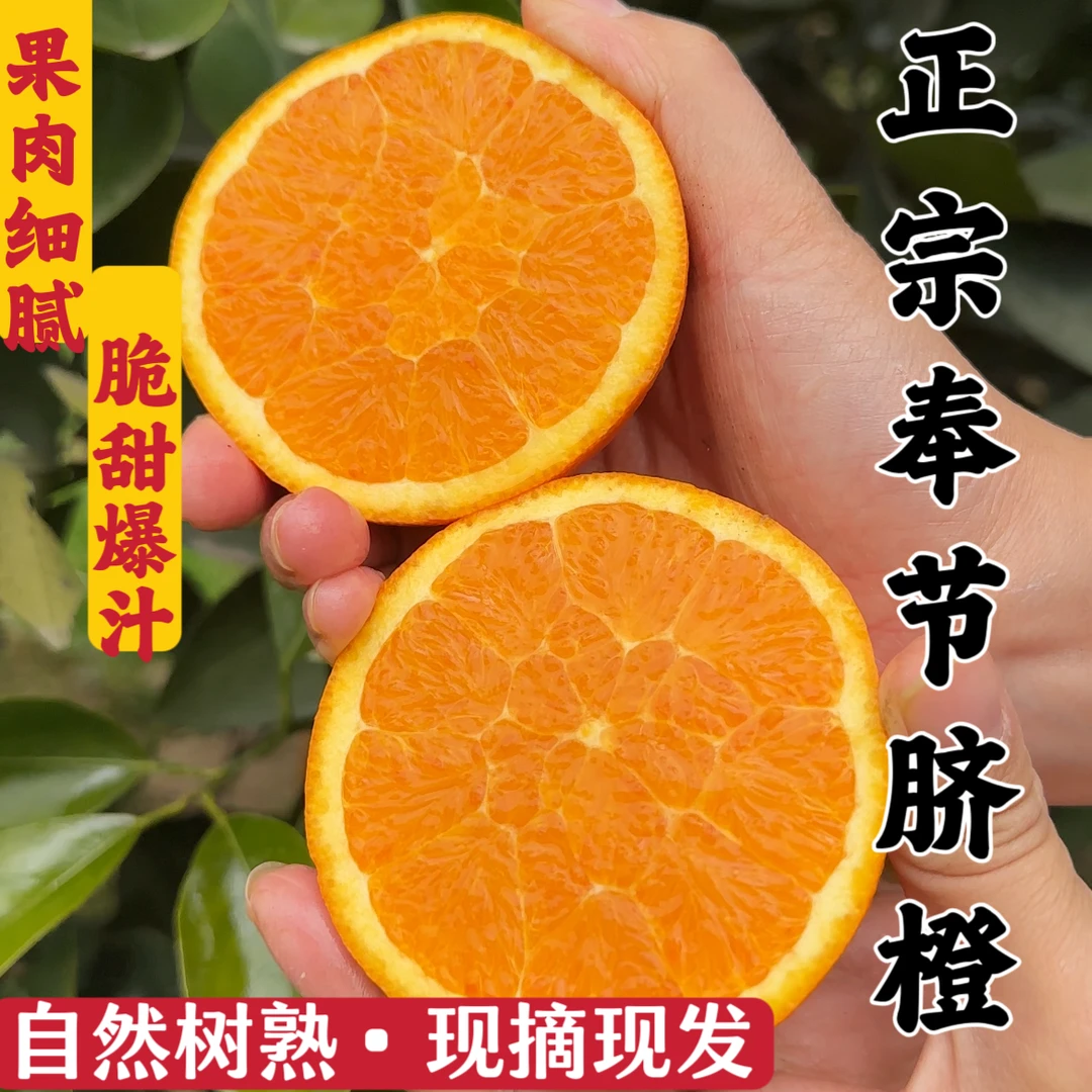 (偏远地区)正宗奉节脐橙产地现摘现发5斤10斤20斤新鲜水果橙子