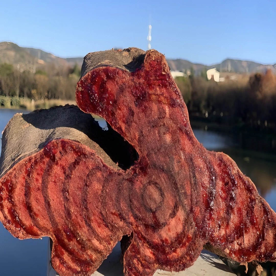 大自然 农家 山货= 鷄 血藤 100g=净含量 老藤 山货 农产品 挑选