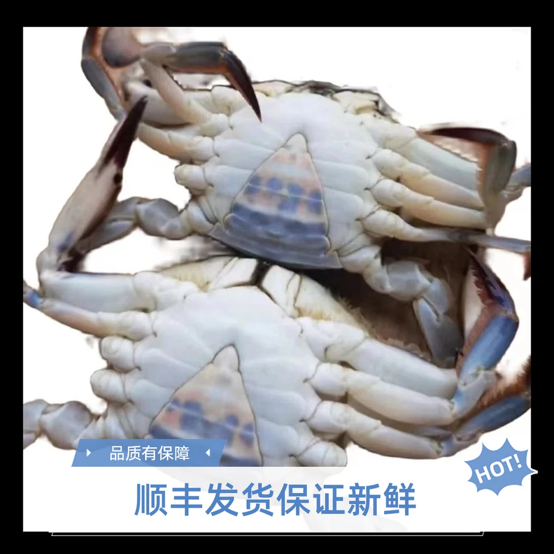 【保鲜不保活】小姑娘蟹三斤2.5两左右一斤4只左右挂网螃蟹掉腿正常