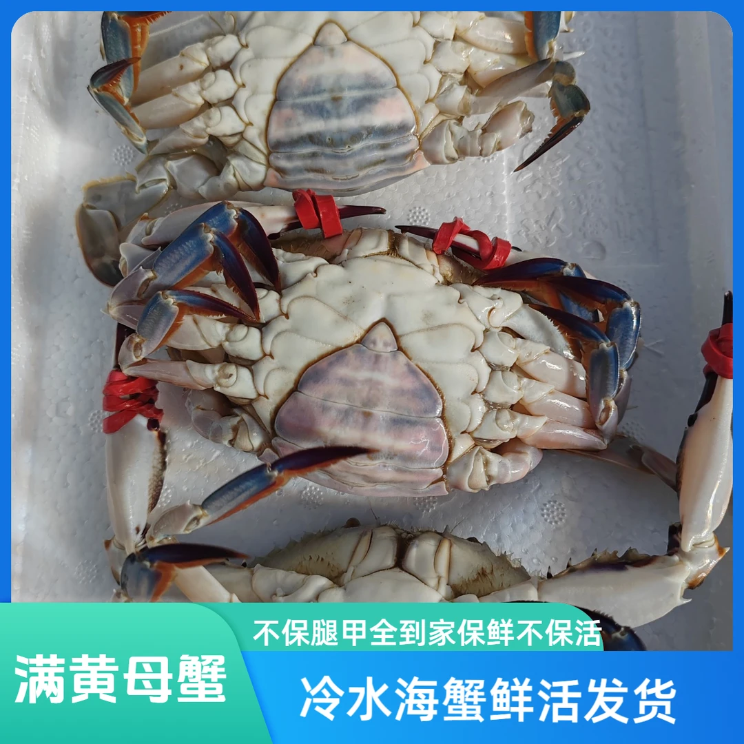 【保鲜不保活】三点红母飞蟹三斤(单只3两左右一斤3只左右) 有掉腿