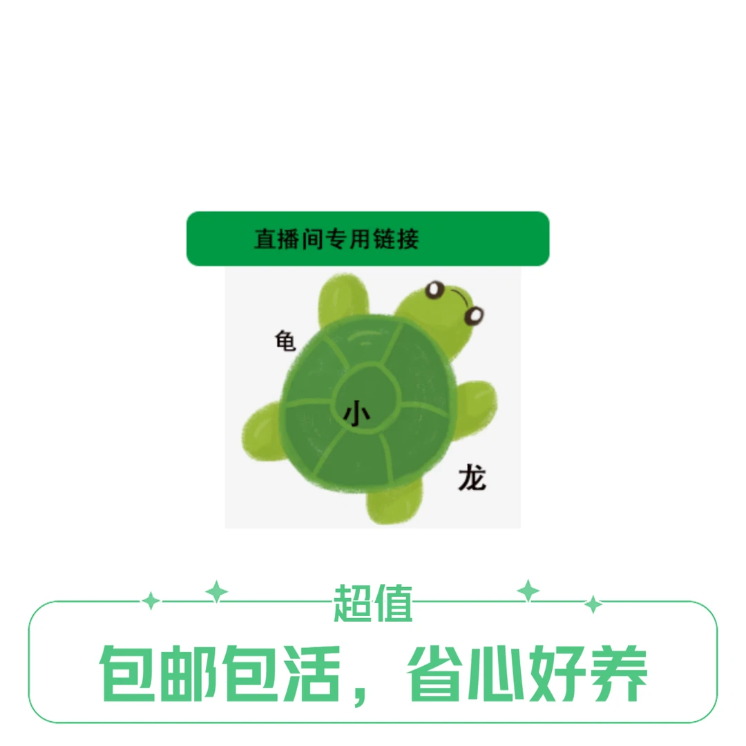 龟小龙直播间专属链接观赏龟人工养殖龟录制开箱视频包邮