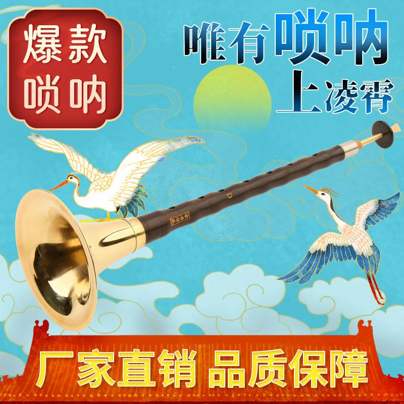 唢呐专业乐器全套初学者成人儿童入门D调大中小号练手喇叭包邮