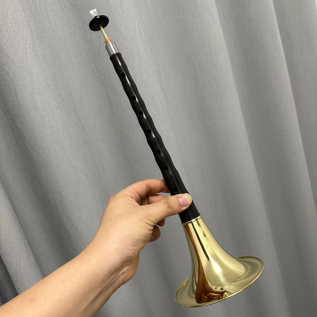 初学全套民族吹奏乐器初学专用黑檀唢呐乐器D调传统唢呐竹笛笛子