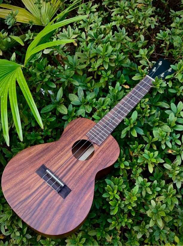 相思木全单手工尤克里里23寸 KFXS