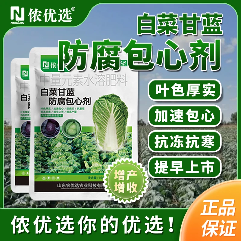 芽动力优选白菜甘蓝防腐包心剂叶色厚实加速包心抗冻抗寒提早上市