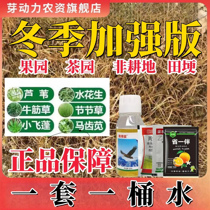 【工厂直销】果园茶园田埂非耕地抗性小飞蓬牛精草安磷叶面肥园林