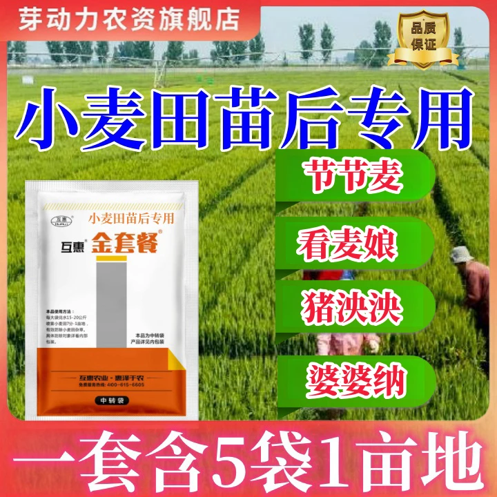 【小麦田苗后专用除草剂】小麦田看麦娘菵草野燕麦猪秧秧等禾阔双除