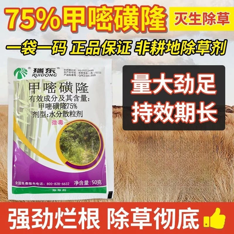 甲嘧磺隆荒地开荒公路机场工厂烂根一年生杂草灭生性秸秆除草剂