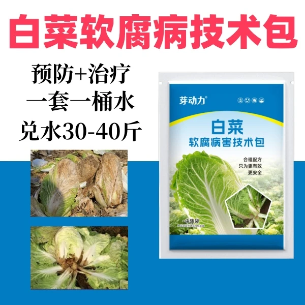 芽动力白菜软腐病菌清白菜软腐灵白菜烂梆烂心专用三合一杀菌剂