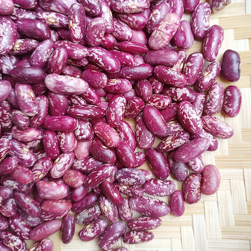 贵州特产花豆四季豆花芸豆 煮红豆酸菜专用红花豆 今年新花豆红豆