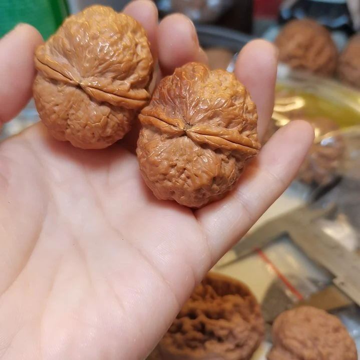 文玩核桃吊坠40金蟾