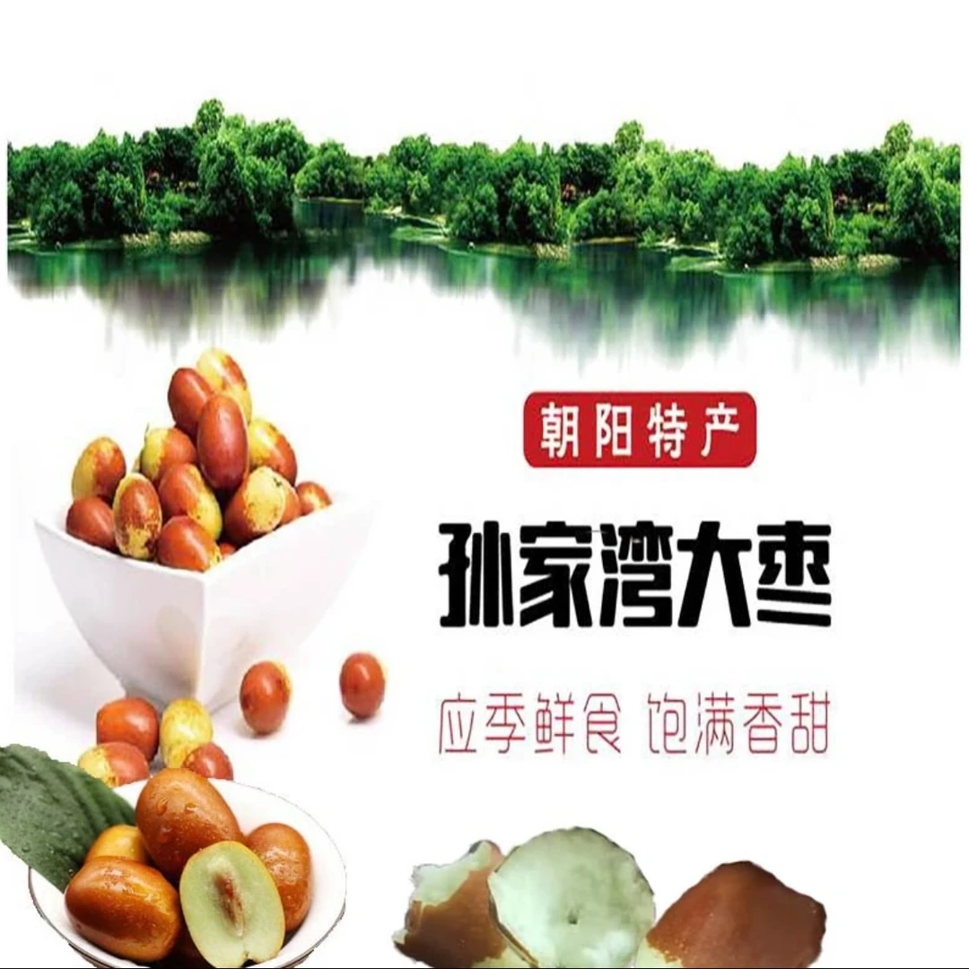 9.9  发5斤小枣 孙家湾平顶栆【果园直发】新鲜现摘酸甜可口
