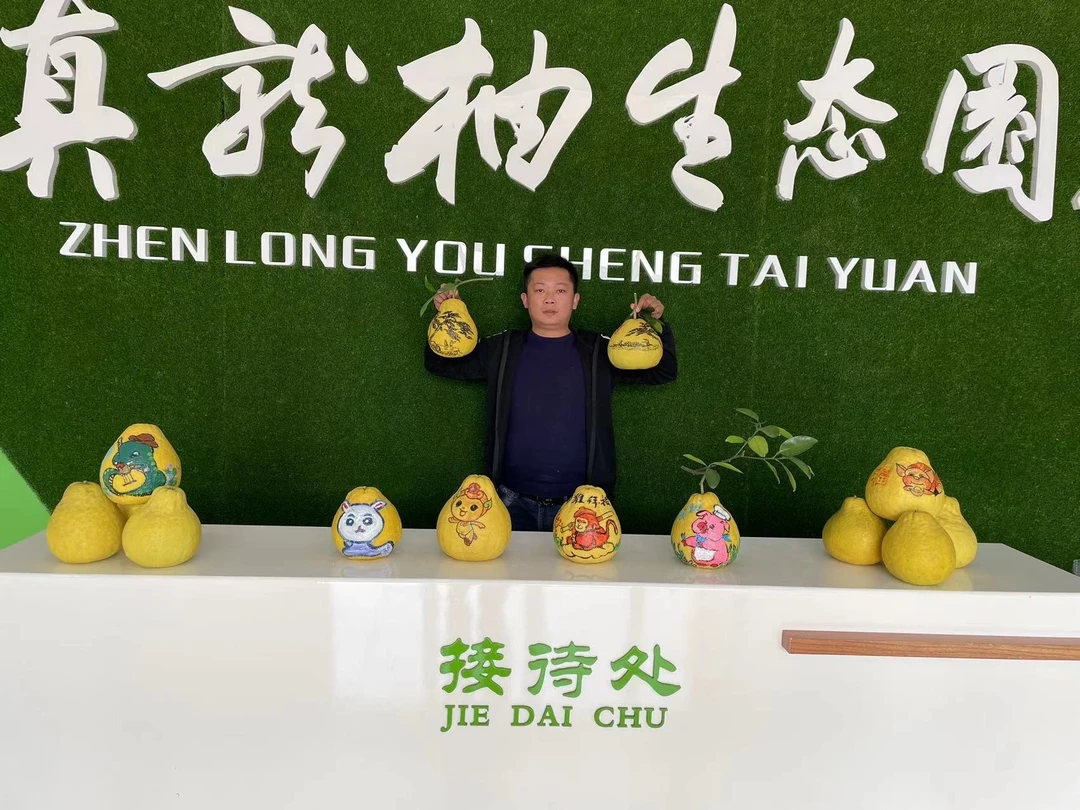 正宗合江30年老树真龙镇真龙柚产地直销坏果干果包赔顺丰包邮
