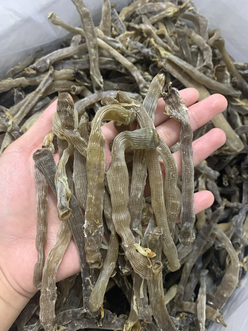 300头沙虫干渔民晾晒海味干货无沙淡晒足干煲汤500g