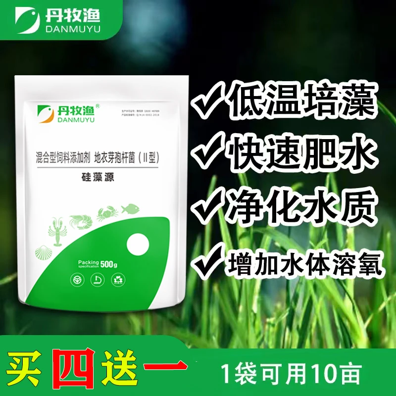 硅藻源硅藻种虾蟹鱼水产养殖肥水培藻小球藻种调水复合藻种有益藻