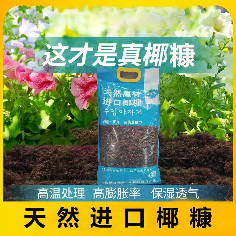 天然原材进口椰糠狐尾天门冬基地直发玉簪花粉黛乱子草绿植鲜花