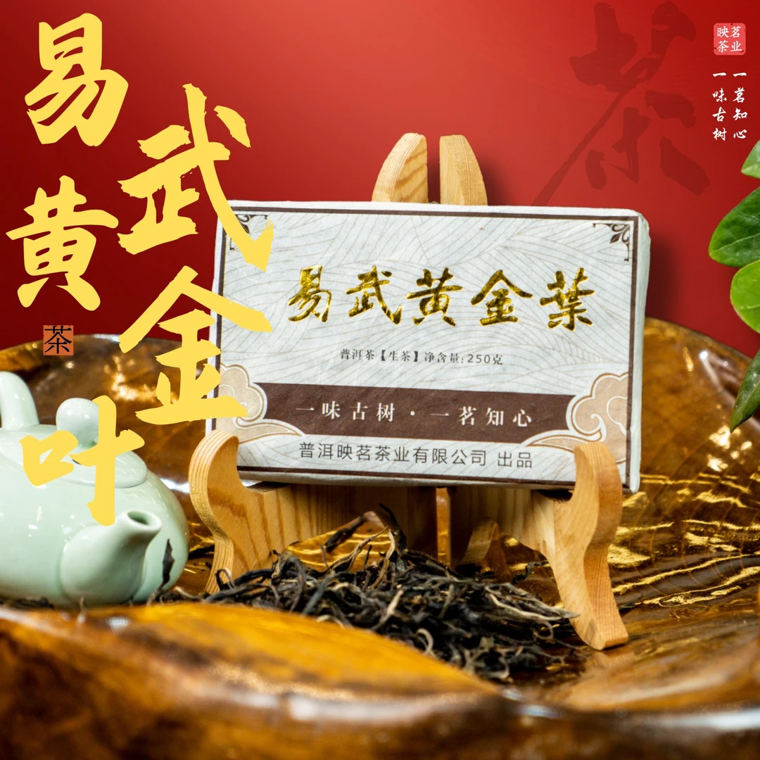 【勇哥优选】易武正山 500年古树 普洱生茶 250g黄金叶