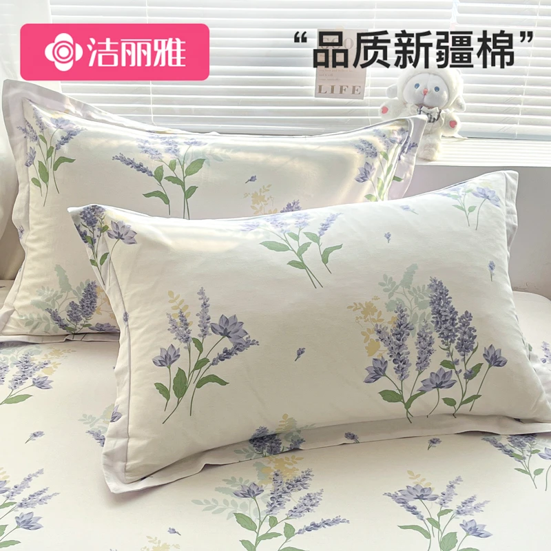 洁丽雅100全棉枕套纯棉枕头套双人48x74cm枕芯内胆套单只装一对装