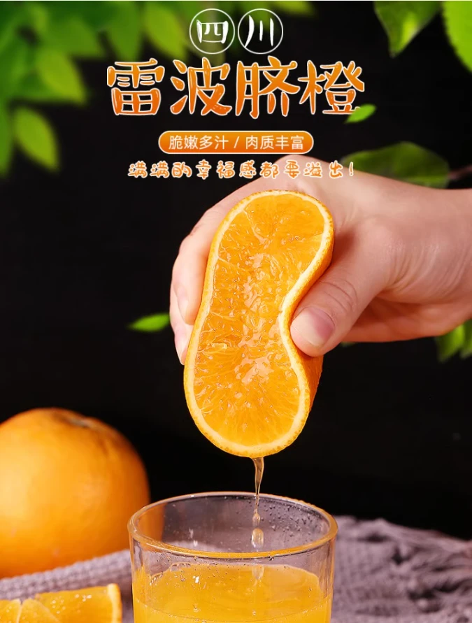 正宗四川雷波脐橙大凉山现货脐橙水果橙子新鲜4.5-5斤S1