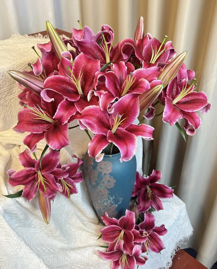 黑美人百合云南高品质鲜切富贵感花家庭办公室水培花插花用花花艺