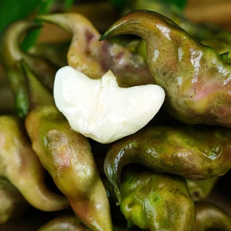 【顺丰包邮】江汉特产湖北新鲜现摘嫩菱角2斤4斤装现采现发嫩菱角