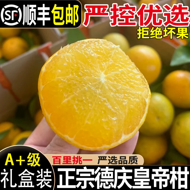 正宗德庆皇帝柑贡柑原产地现摘现发5斤9斤一整箱青皮橘子橙礼盒