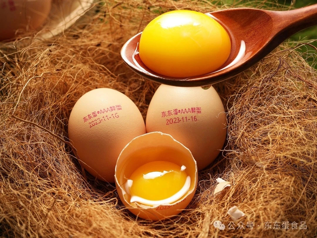 信宜特产无抗鸡蛋东东蛋健康食品一箱家庭装72/枚