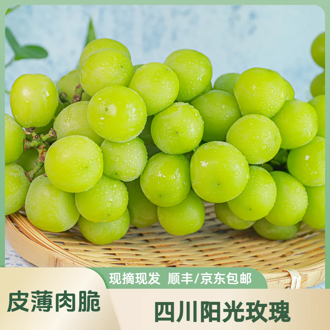 【遇见美物】四川西昌阳光玫瑰 2斤1-2串/3斤2串/4.5斤2-3串