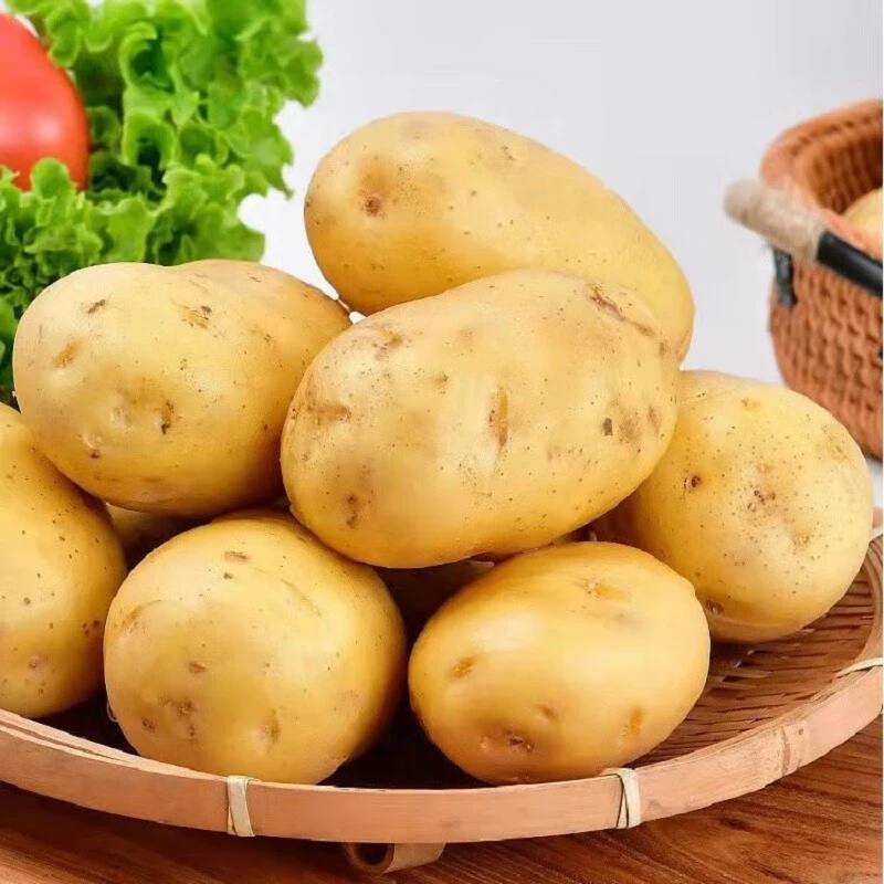 新鲜黄皮黄心土豆正宗沙面口感农家现挖蔬菜