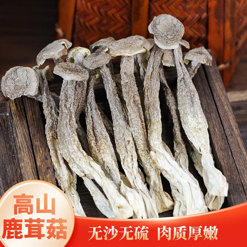 【高山鹿茸菇】头茬大条无碎渣无硫干货脆脆菇炒菜炖汤鲜香美味蘑菇