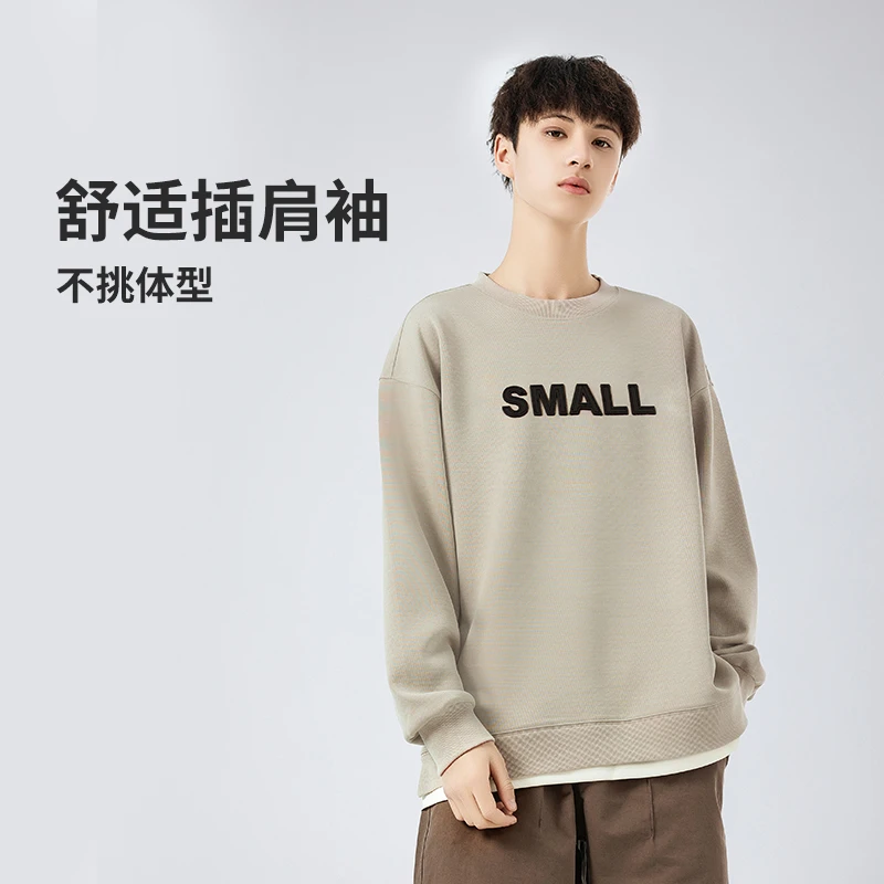 男大童春秋装卫衣2024新款儿童青少年秋款打底衫男孩胖童圆领上衣