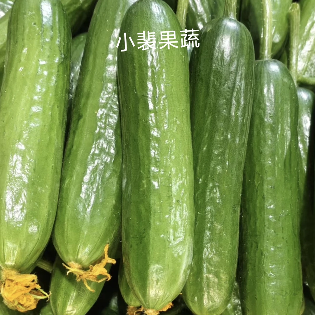 水果小黄瓜清脆爽口产地现摘现发小青瓜小乳瓜孕妇小孩精品5斤