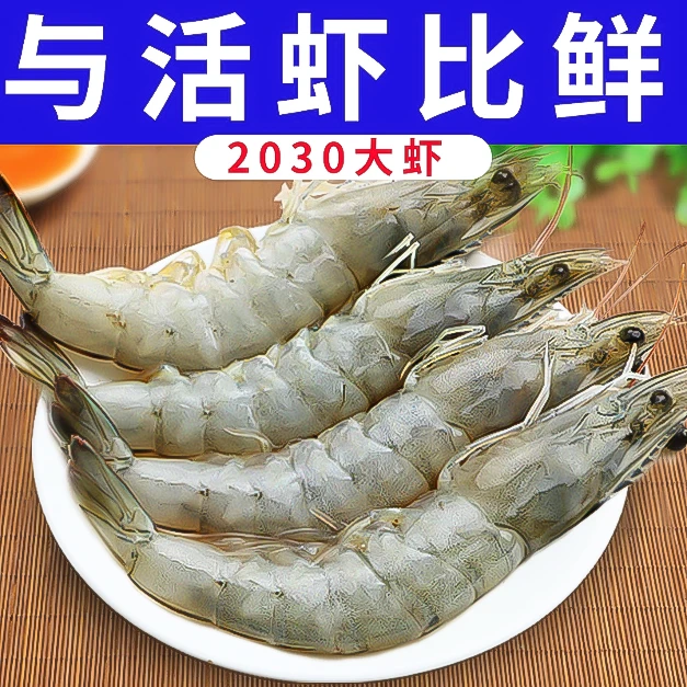 【小芳专属】20-30规格活冻海水大虾10-15只/斤 净重3.3-3.5斤 青岛