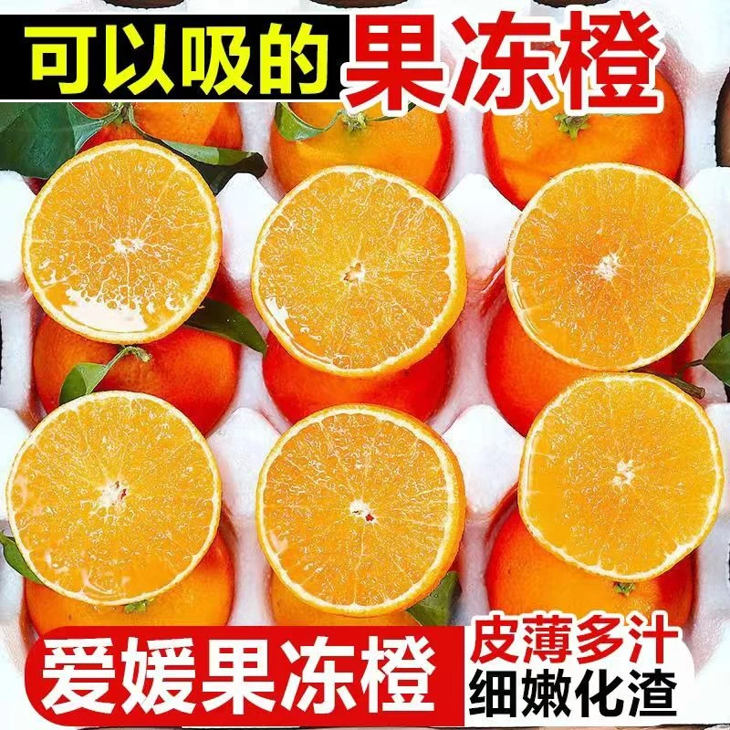 【ZQ爱媛38号果冻橙】四川·眉山爱媛果冻橙·新鲜水果爽口多汁包邮