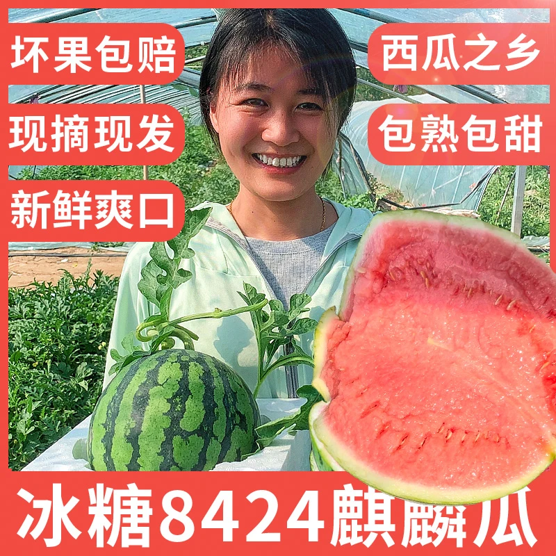 【顺丰包邮】新鲜采摘麒麟瓜精品头茬西瓜农家自种植采摘多汁美都