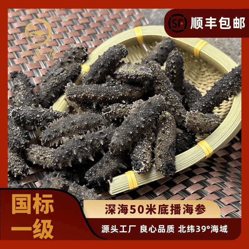 大连瓦房店底播海参纯淡干深水海货一斤水发15斤顺丰包邮肉厚筋粗