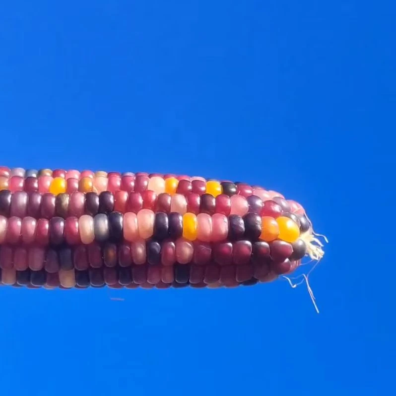 七彩宝石文玩手把件文玩