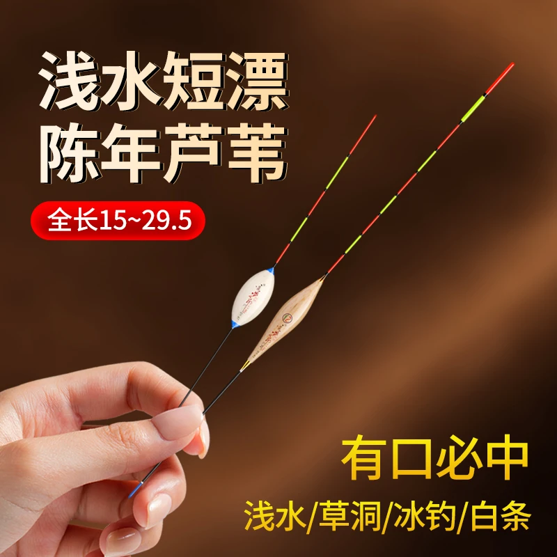 短漂芦苇漂浅水草洞钓浮鲫鱼鲤鱼高灵敏清晰醒目野钓