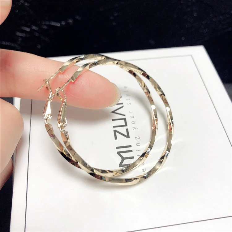 新款S925纯银大耳圈圈夸张大耳环简约气质网红防过敏女士高档耳环