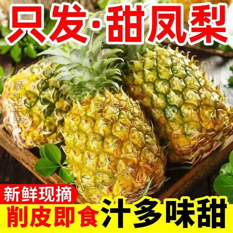 【黑蜜凤梨】甜如蜜的凤梨非菠萝一箱
