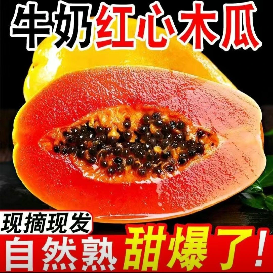 正宗云南西双版纳精品红心牛奶木瓜一整箱