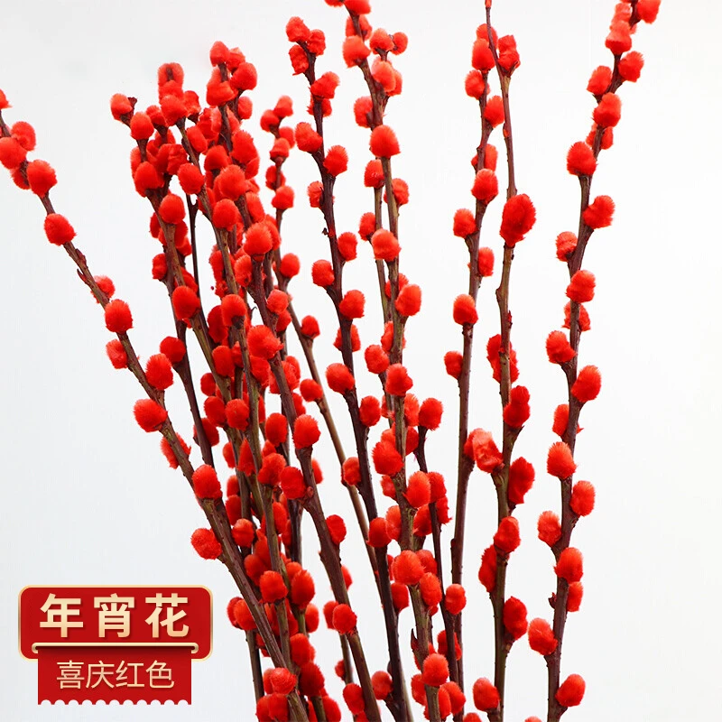 银柳真花鲜枝年宵花卉红色干花 客厅鲜花水培植物室内装饰