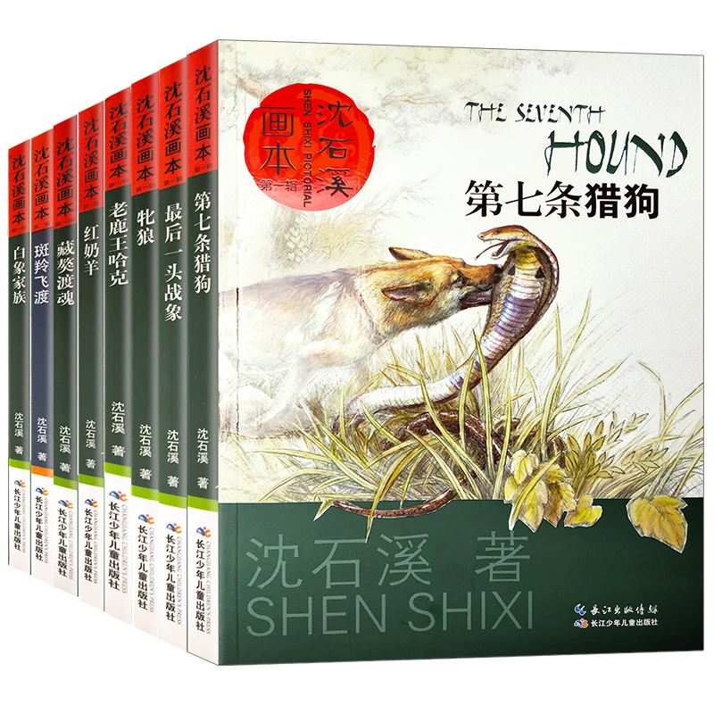 沈石溪动物小说全集8册 正版珍藏版套装画本大全系列最后一头战象