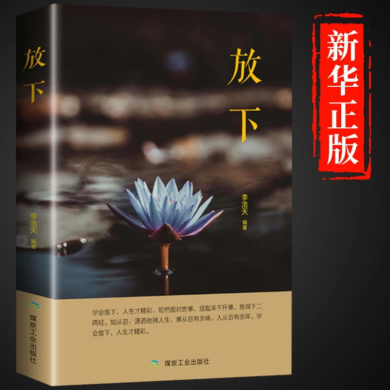 放下书籍 人生没有什么不可以 遇见未知的自己静修心的书籍自律力