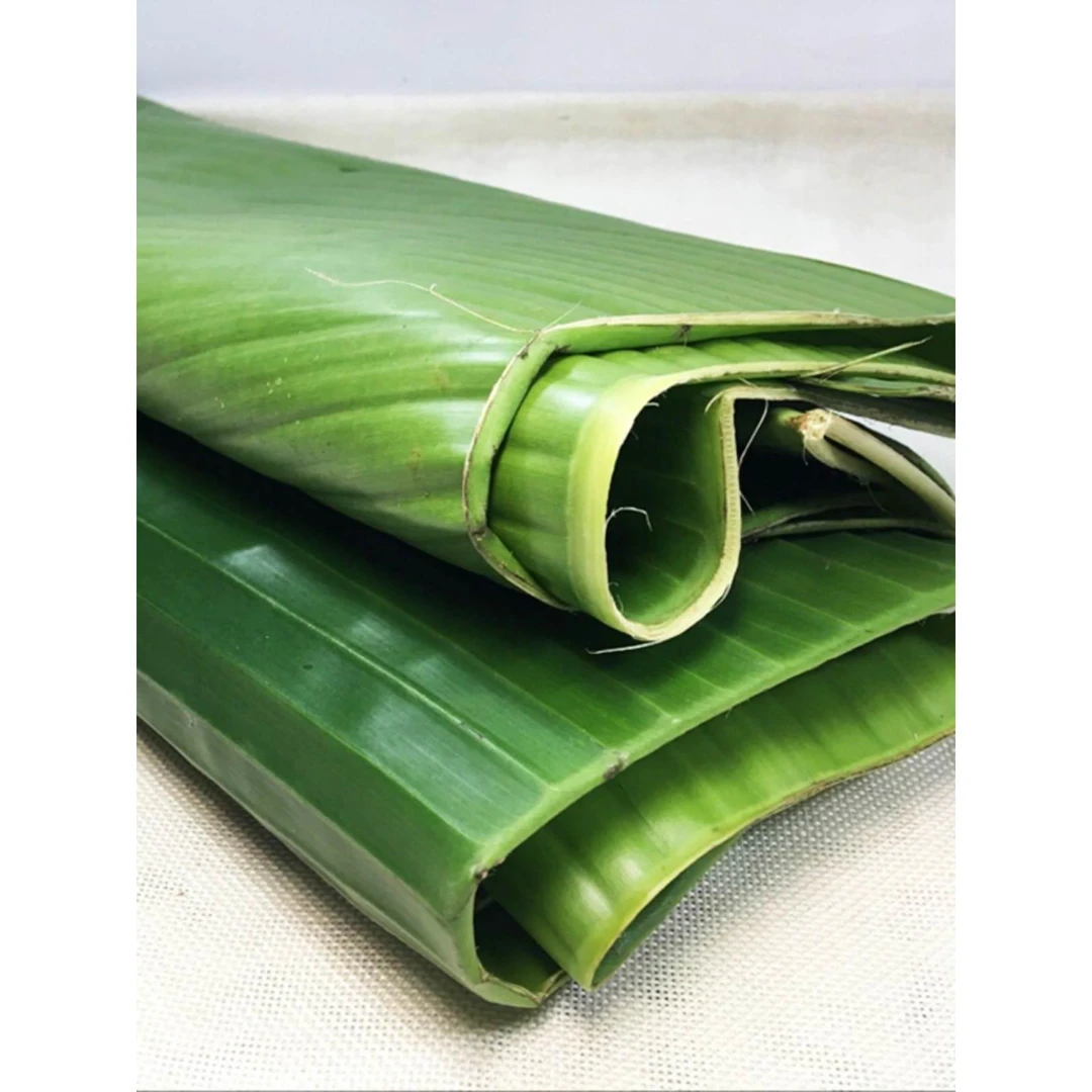 芭蕉叶农家新鲜香蕉叶做糍粑粽子糕点傣式烧烤摆盘装饰烤鸡4斤