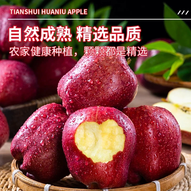 正宗甘肃天水花牛苹果4.5斤/8.5斤 新鲜 应季水果