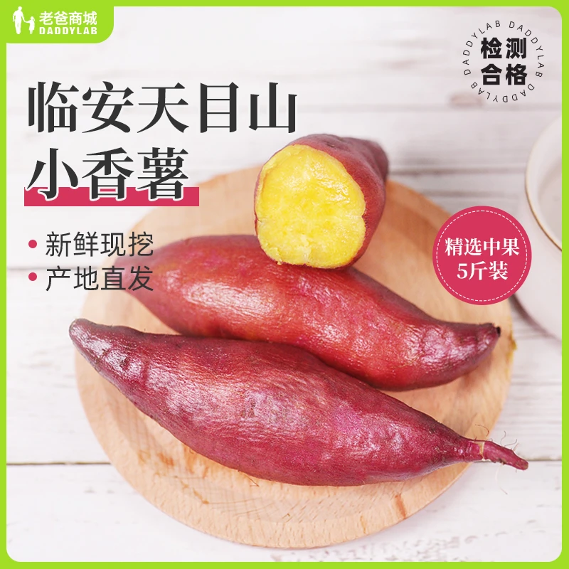 小香薯正宗板栗红薯新鲜农家自种红皮地瓜蜜薯5斤工厂发预售5天