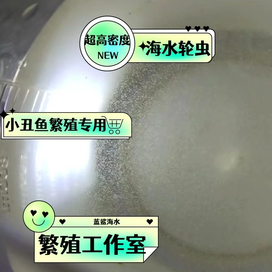 海水轮虫小丑鱼繁殖必备开口饲料鱼苗开口